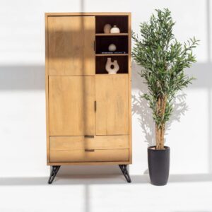 Wooden Cabinet with Mini Display Shelves