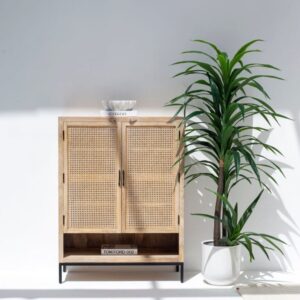 Wesley Two Doors Rattan Cabinet & Sideboard