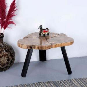 Wooden Live Edge Coffee Table