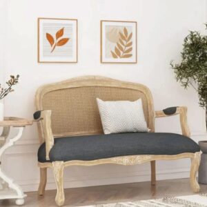 Wooden Modern Sofa Comfort Cane & Carving